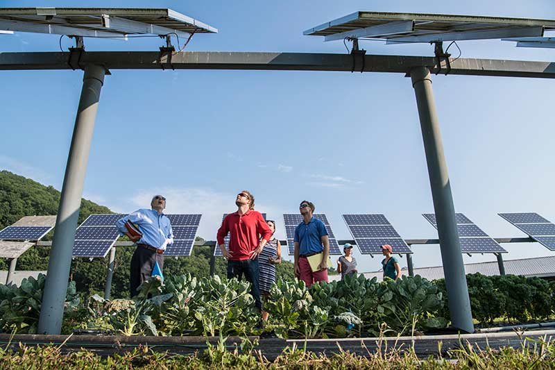 three men and three women looking up at ground-mounted solar panels